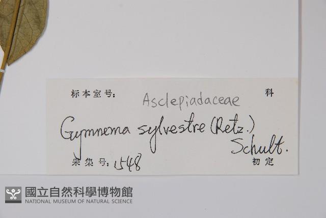 武靴藤藏品圖，第2張