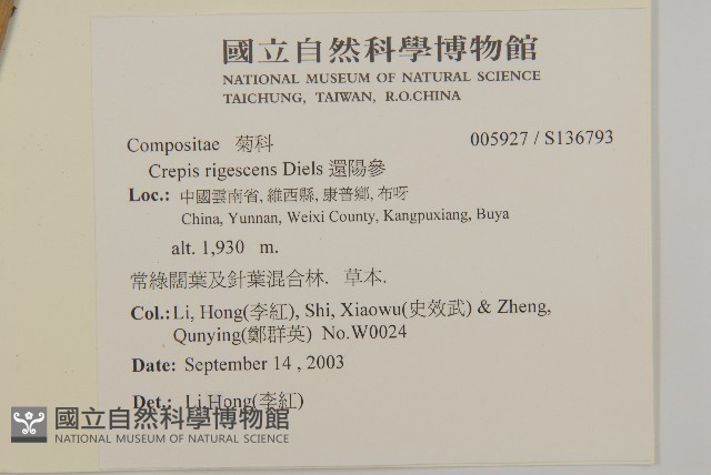 還陽參藏品圖，第2張