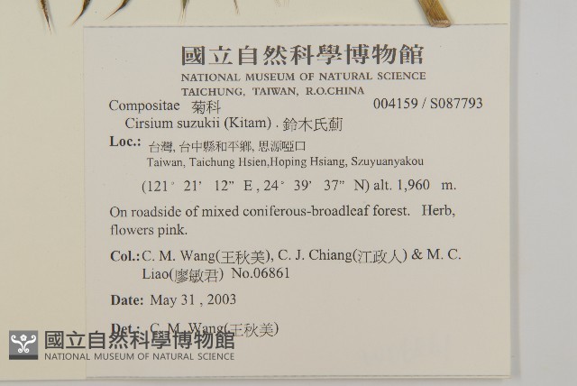 鈴木氏薊藏品圖，第2張