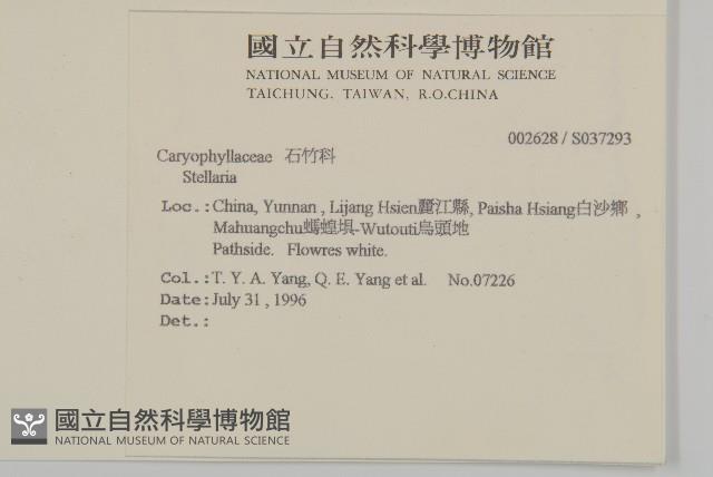 Accession Number:S037293 Collection Image, Figure 2, Total 2 Figures