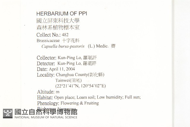 薺藏品圖，第2張