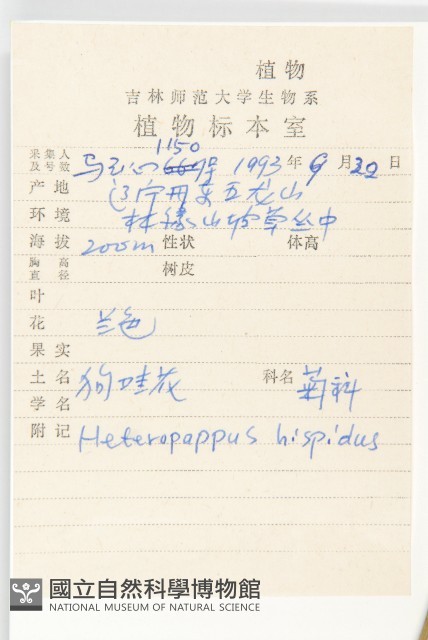 狗娃花藏品圖，第2張