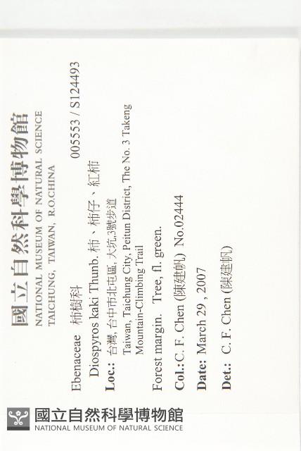 柿、柿仔、紅柿藏品圖，第2張