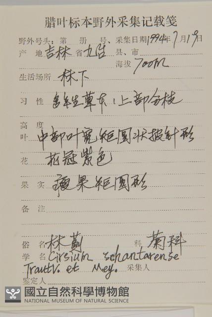 林薊藏品圖，第2張