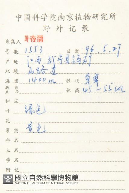 華中碎米薺藏品圖，第2張