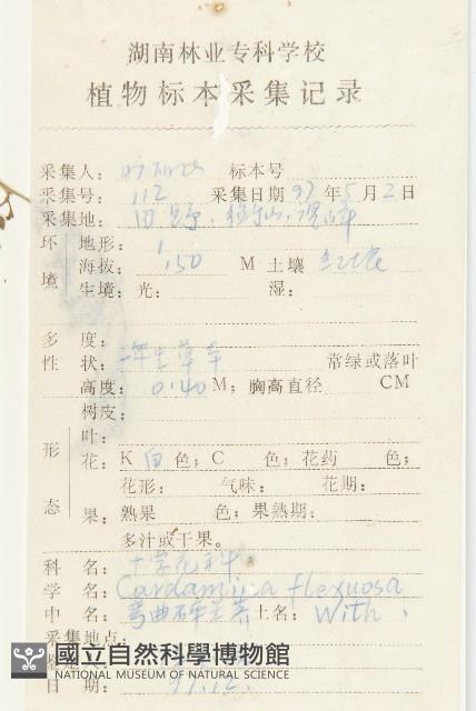 焊菜藏品圖，第2張