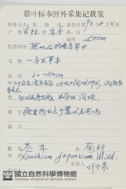 蒼耳藏品圖，第2張