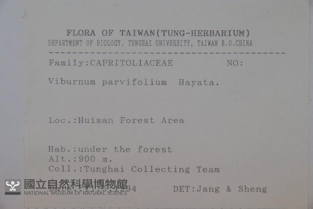 小葉莢迷藏品圖，第2張