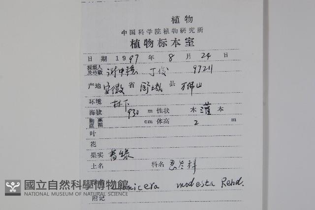 下江忍冬藏品圖，第2張