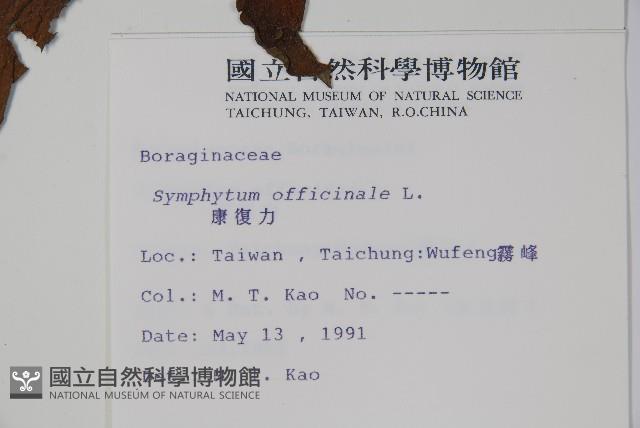 康復力藏品圖，第2張