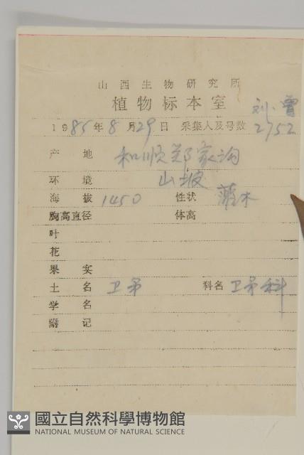 衛矛藏品圖，第2張