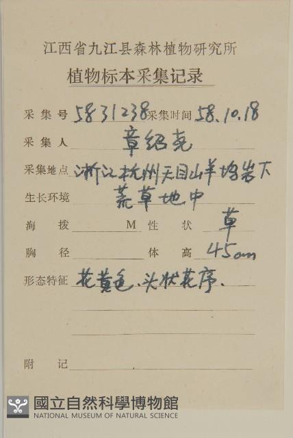 香青藏品圖，第2張