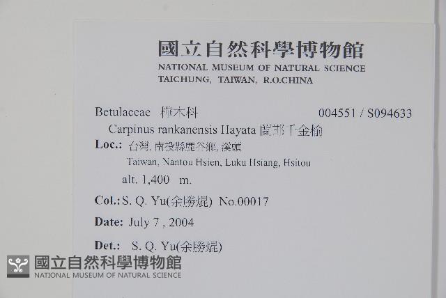 蘭邯千金榆藏品圖，第2張