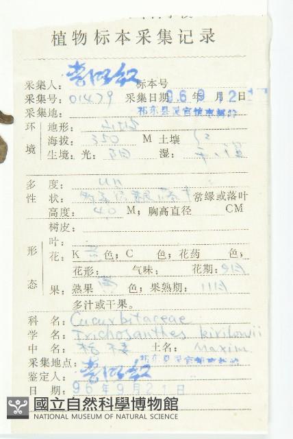 括樓藏品圖，第2張