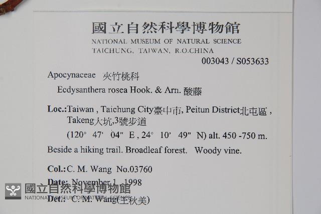 酸藤藏品圖，第2張