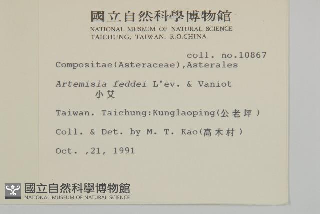 小艾、矮蒿藏品圖，第2張