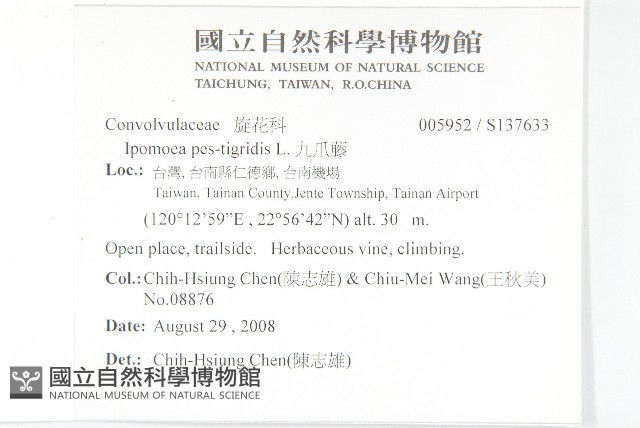 九爪藤藏品圖，第2張