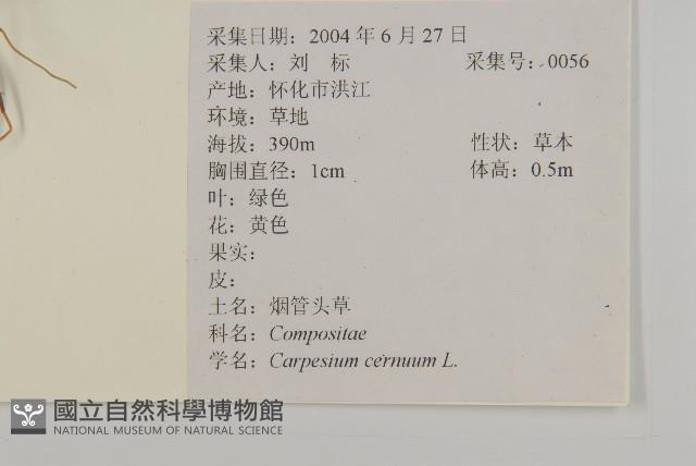 杓兒菜藏品圖，第2張