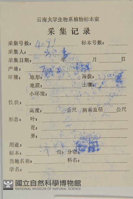 山白蘭藏品圖，第2張