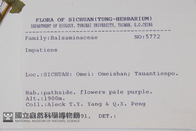 登錄號:S025733藏品圖，第2張