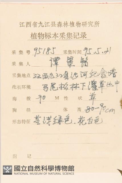 華澤蘭藏品圖，第2張