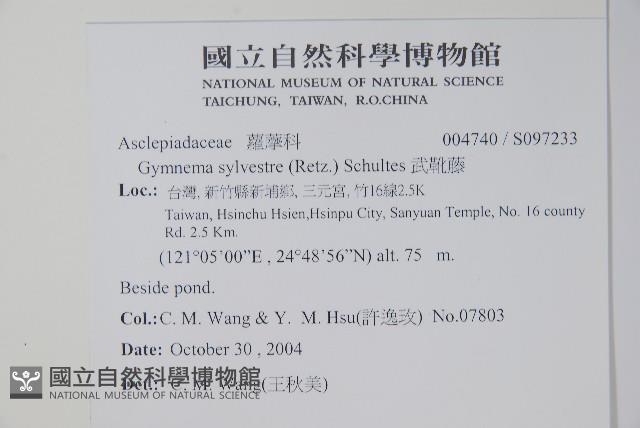 武靴藤藏品圖，第2張