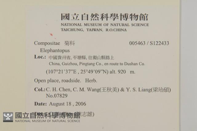 登錄號:S122433藏品圖，第2張