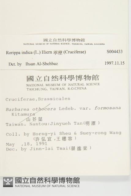 葶藶藏品圖，第2張