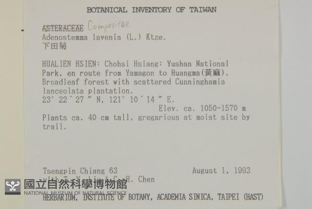 下田菊藏品圖，第2張