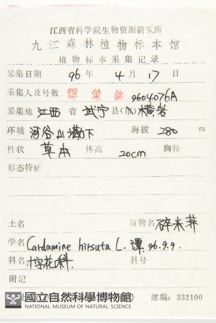 碎米薺藏品圖，第2張
