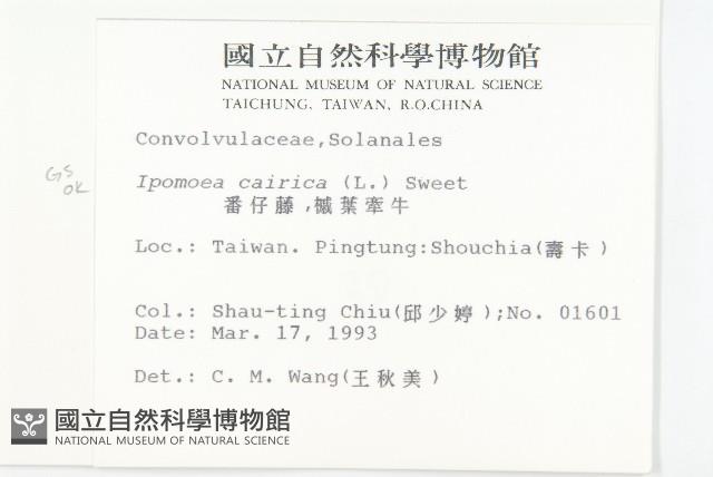 番仔藤藏品圖，第2張