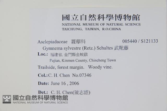 武靴藤藏品圖，第2張