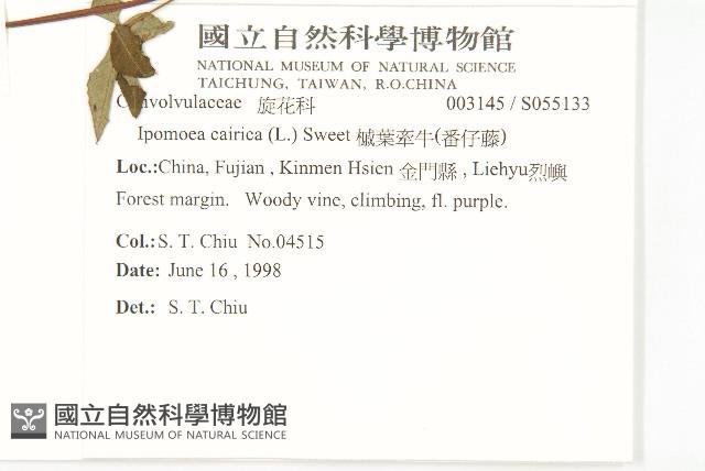 番仔藤藏品圖，第2張