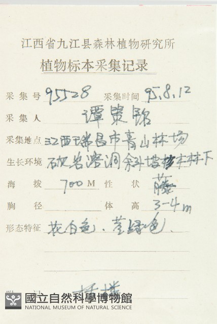 括樓藏品圖，第2張