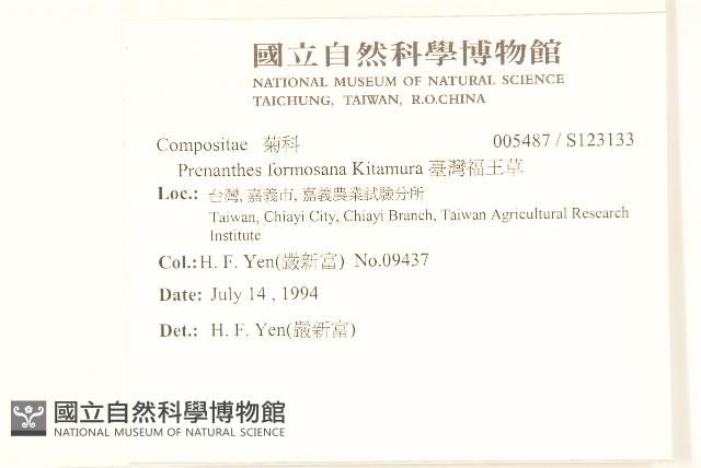 臺灣福王草藏品圖，第2張