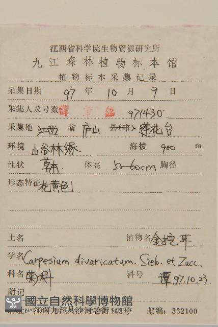 煙管草藏品圖，第2張