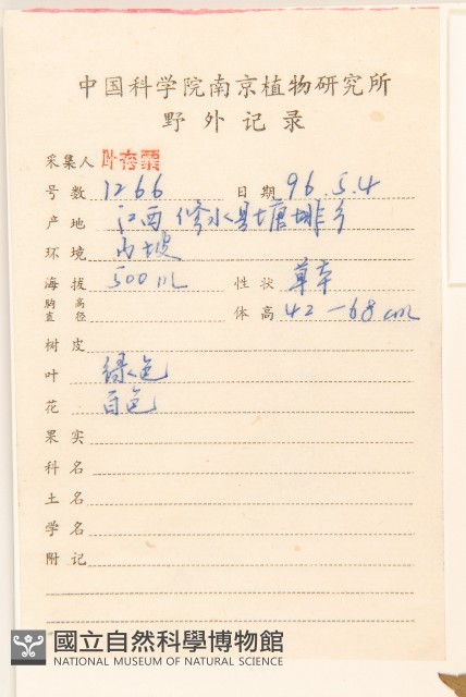華澤蘭藏品圖，第2張