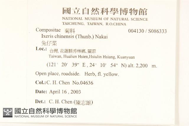 兔仔菜藏品圖，第2張