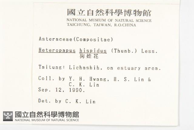 狗娃花藏品圖，第2張