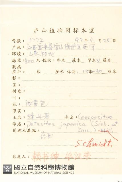 蜂斗菜、蛇頭菜藏品圖，第2張