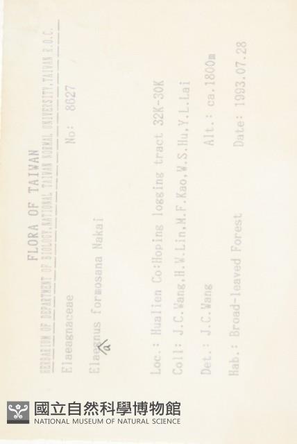 臺灣胡頹子藏品圖，第2張