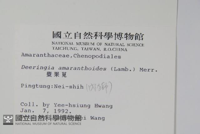 Accession Number:S004333 Collection Image, Figure 2, Total 2 Figures