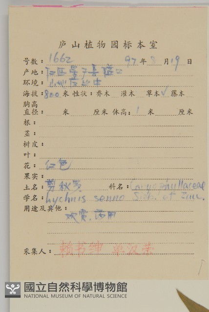剪秋羅、剪秋紗、漢宮秋藏品圖，第2張