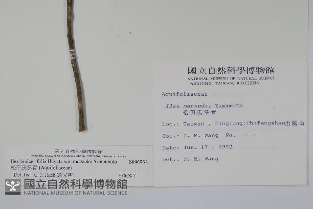 松田氏冬青藏品圖，第2張