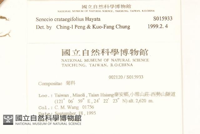 小蔓黃苑藏品圖，第2張