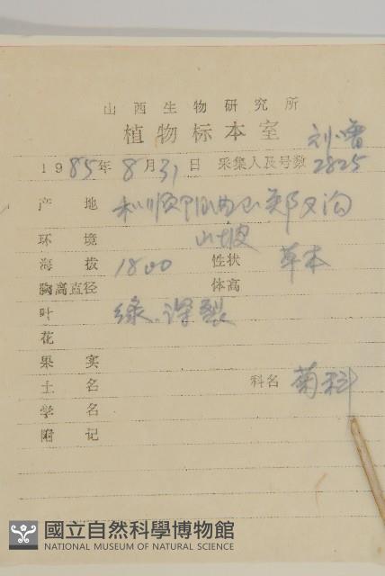 蓍草藏品圖，第2張