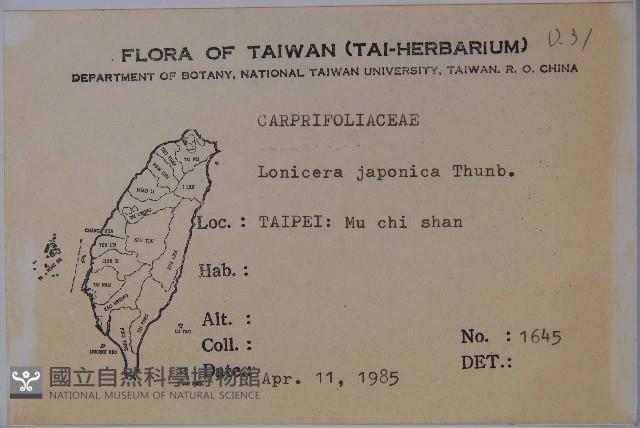 忍冬、金銀花藏品圖，第2張
