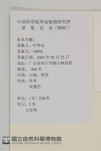七里明艾納香藏品圖，第2張