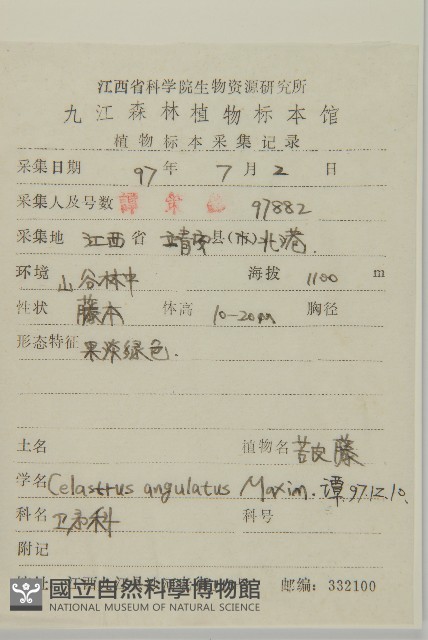 苦皮藤藏品圖，第2張