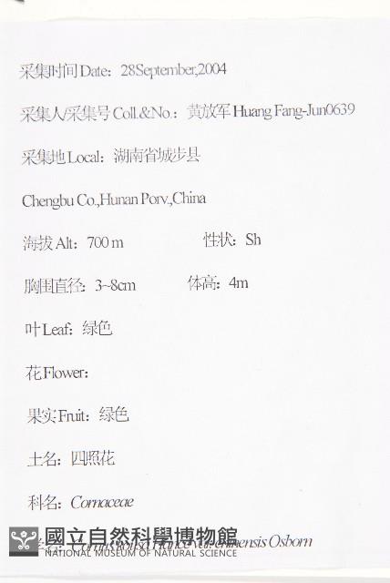 四照花、山荔枝藏品圖，第2張